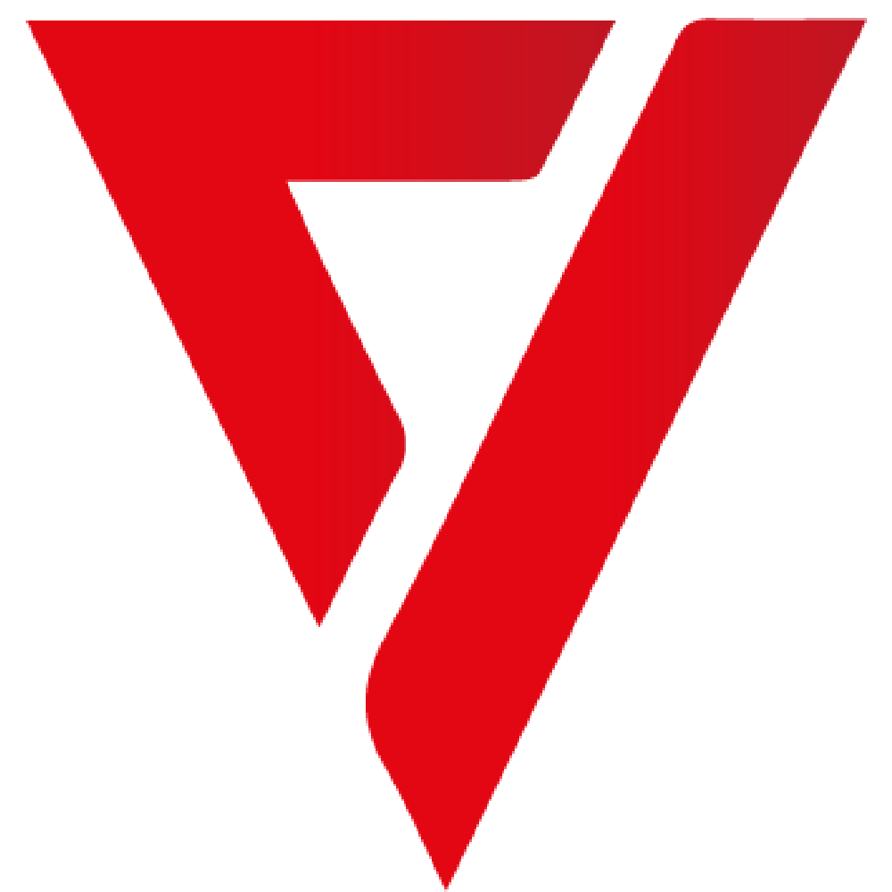 V-ENT ESPORTS team